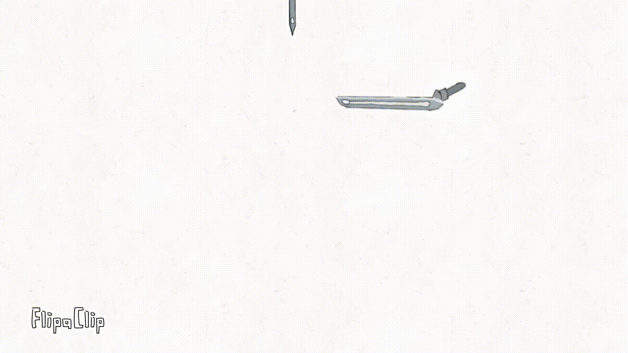 ロックルーパー動画(1)